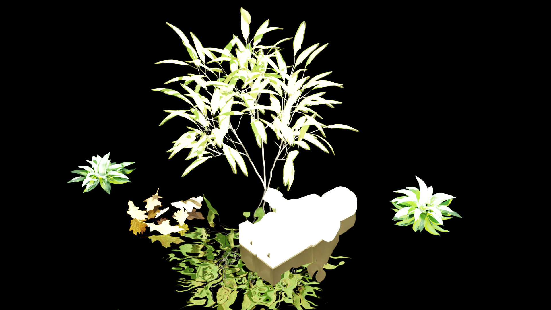 Brightly lit plants with a black backround